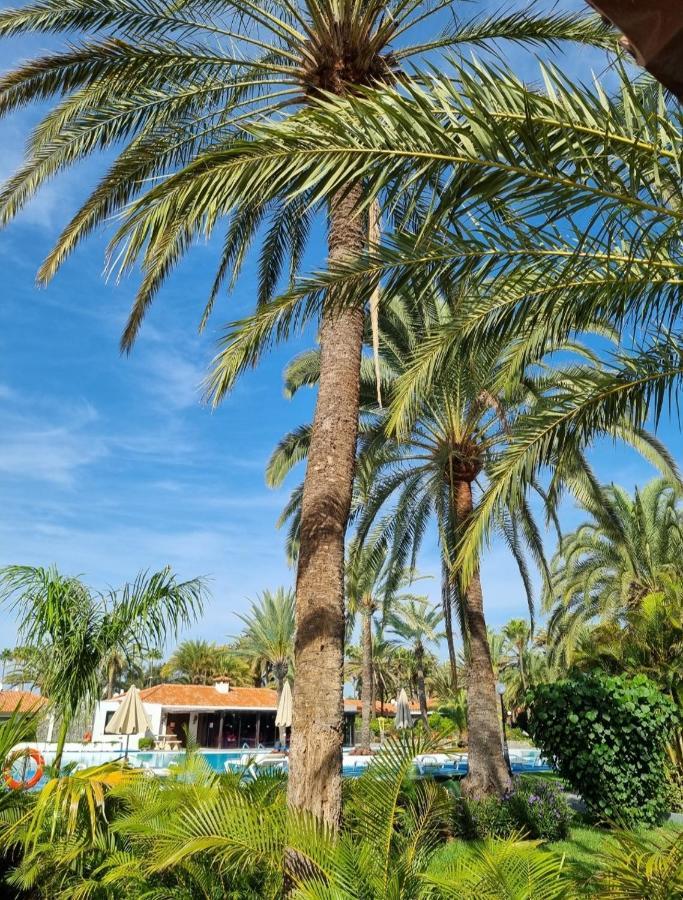 Sun Club P65 Premium Bungalow Maspalomas  Eksteriør bilde