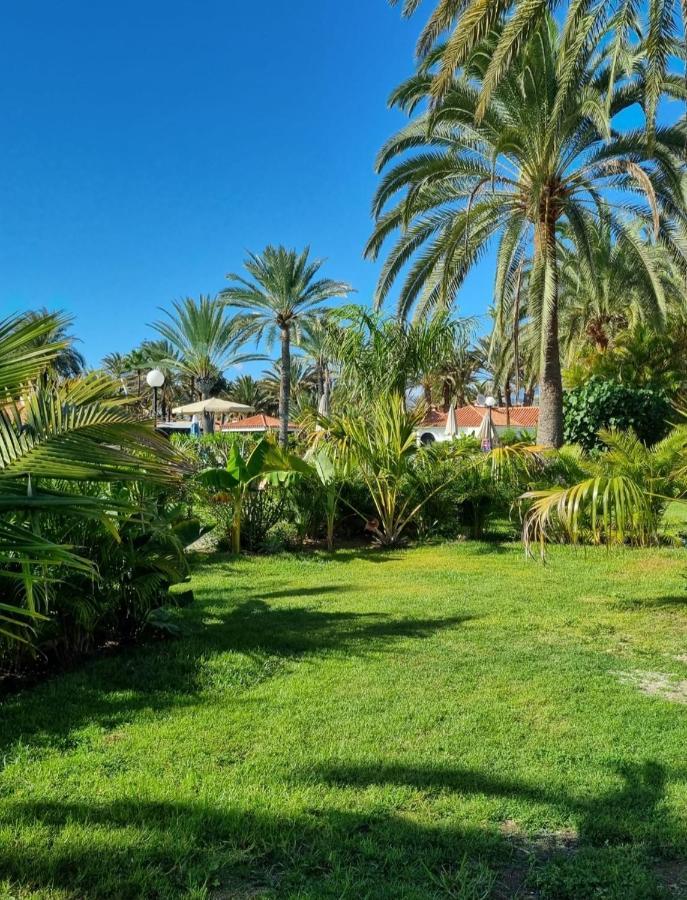 Sun Club P65 Premium Bungalow Maspalomas  Eksteriør bilde