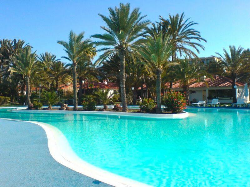 Sun Club P65 Premium Bungalow Maspalomas  Eksteriør bilde