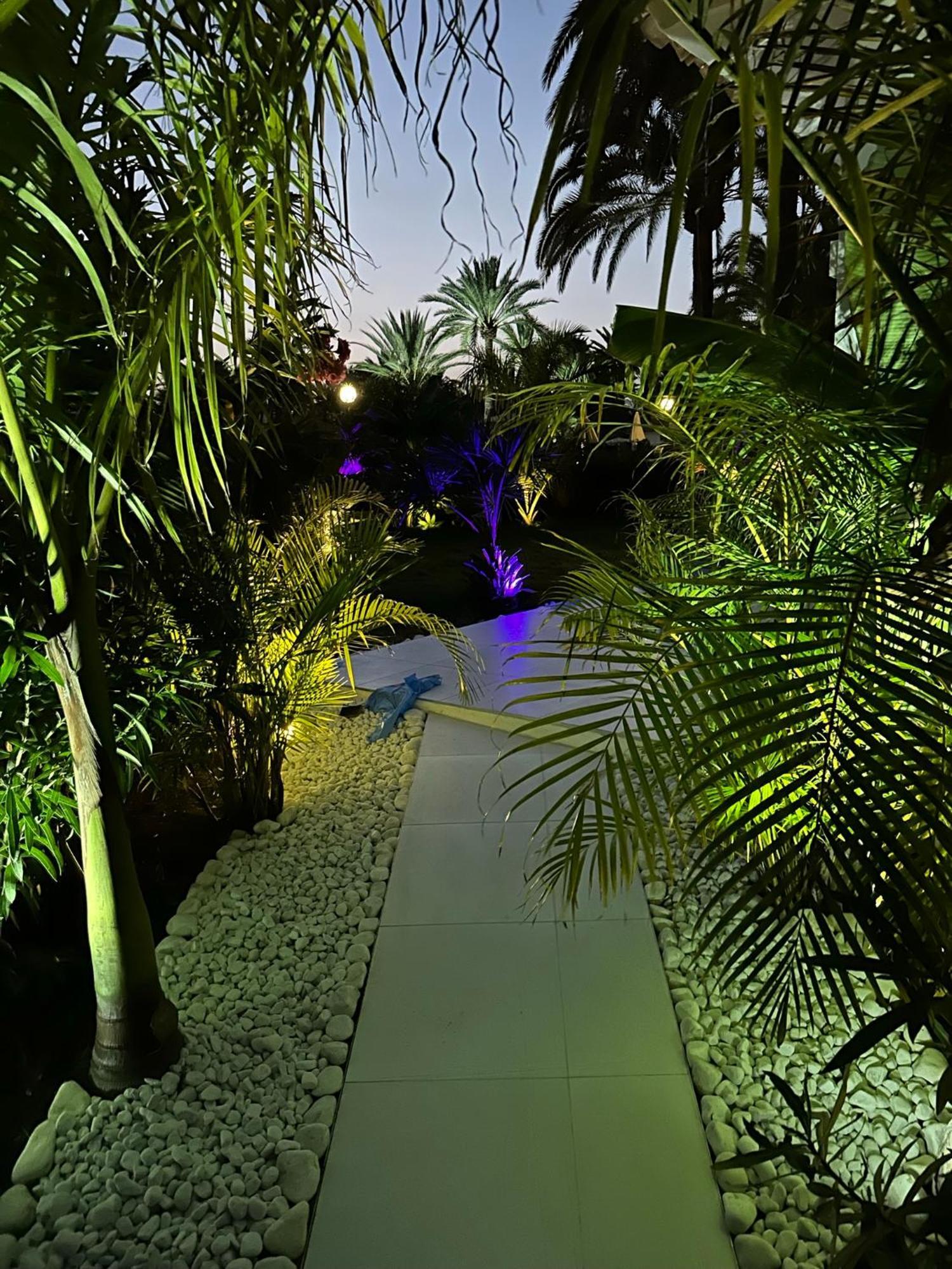 Sun Club P65 Premium Bungalow Maspalomas  Eksteriør bilde